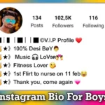 Latest 100+ Instagram Bio for Boys, Attitude, Simple, Stylish Font in English