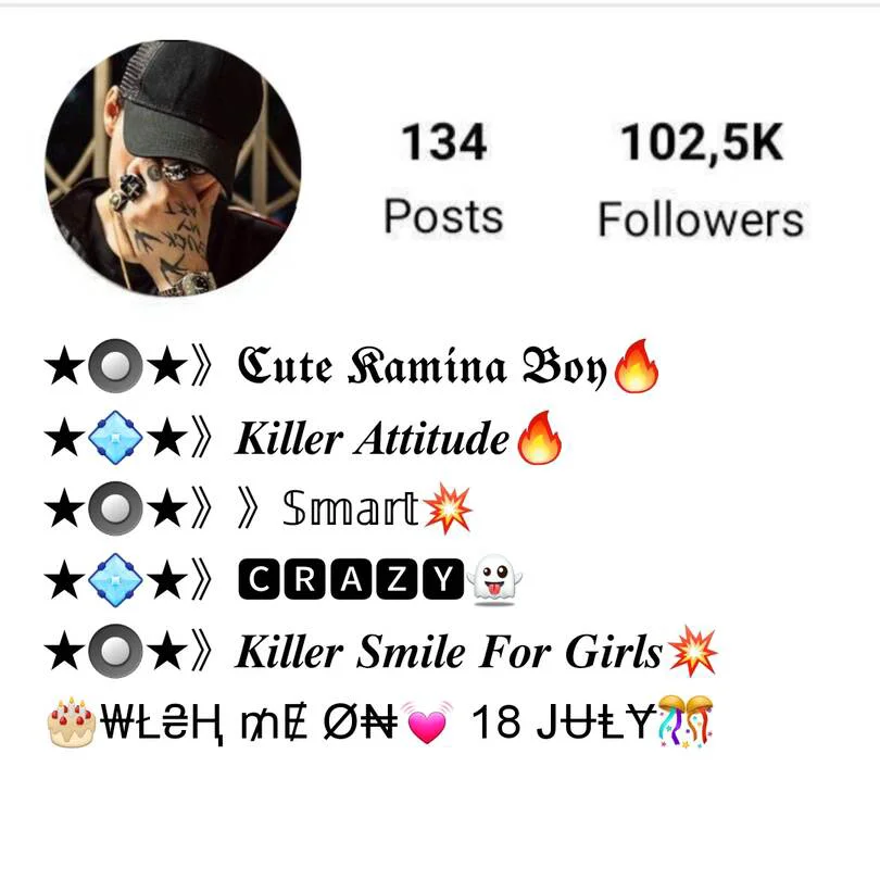 VIP Instagram bio for boys