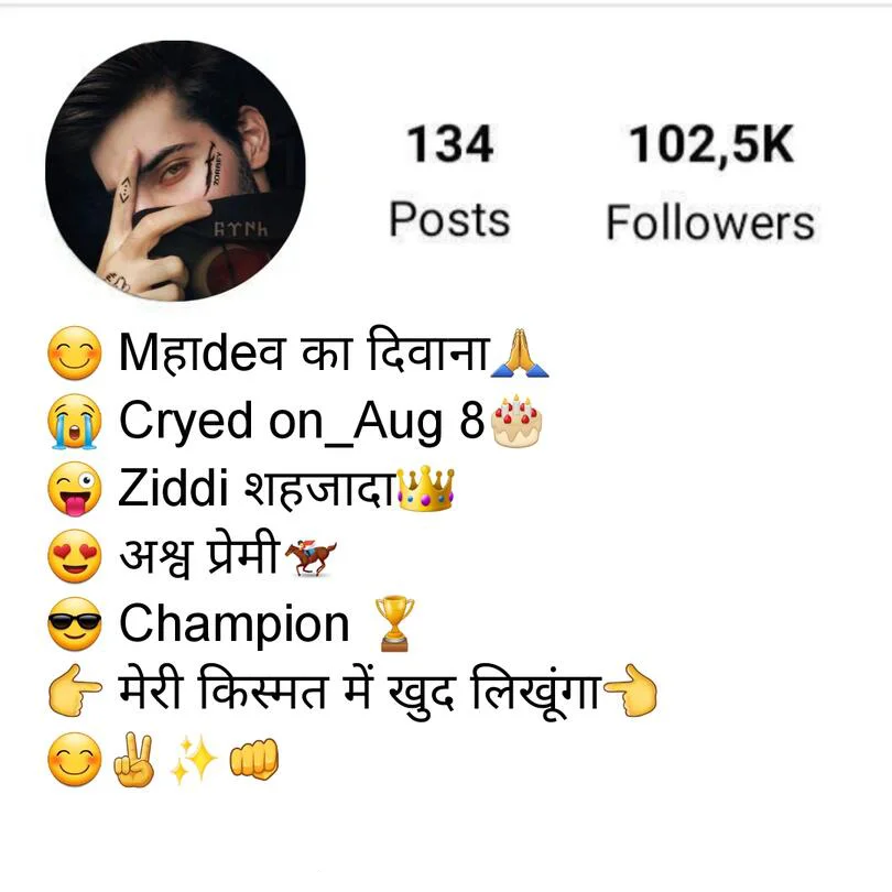 Instagram bio for boys in Hindi
